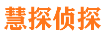 宁明侦探公司